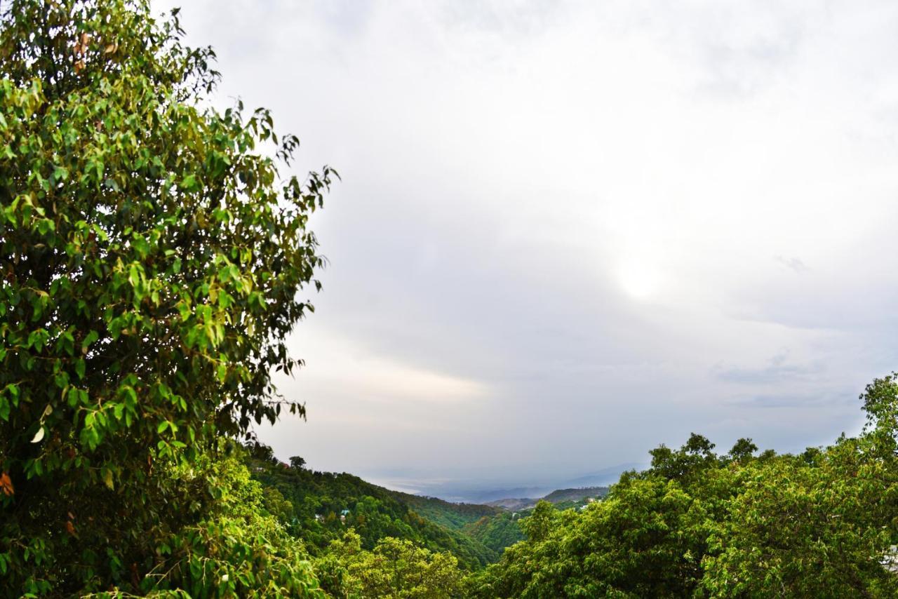 Indraprastha Resort Dalhousie Ngoại thất bức ảnh